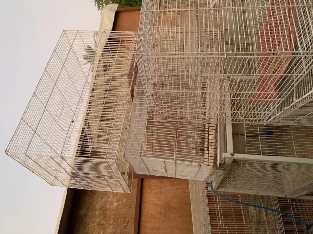 صورة 4