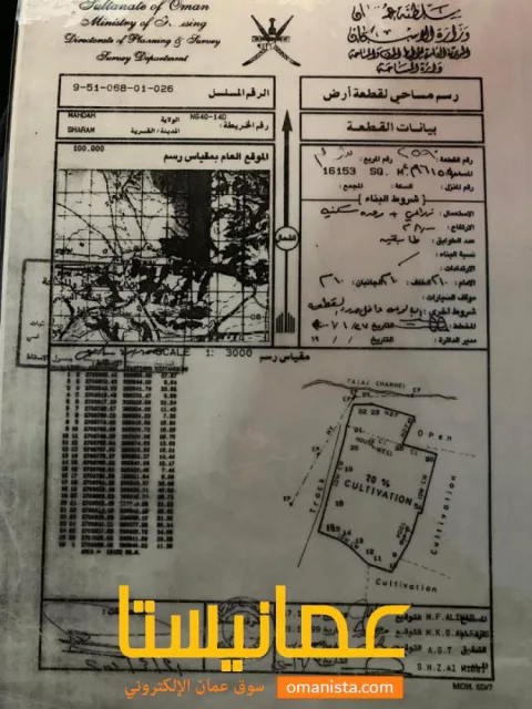 صورة 5