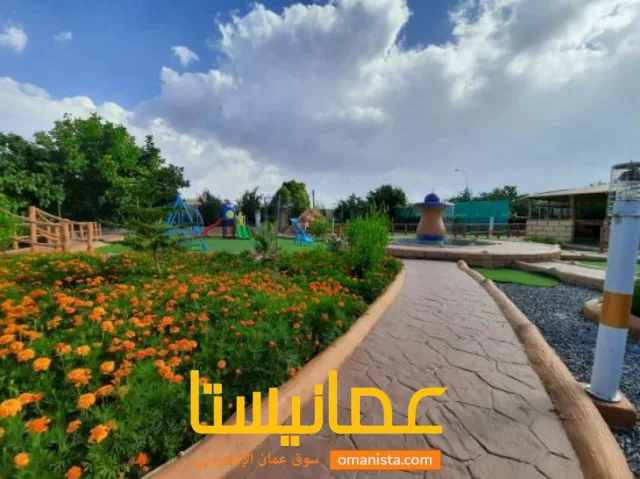 صورة 3