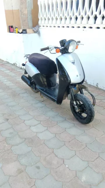 صورة 6