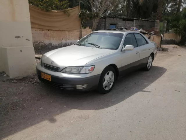 صورة 6