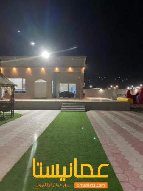 صورة 3