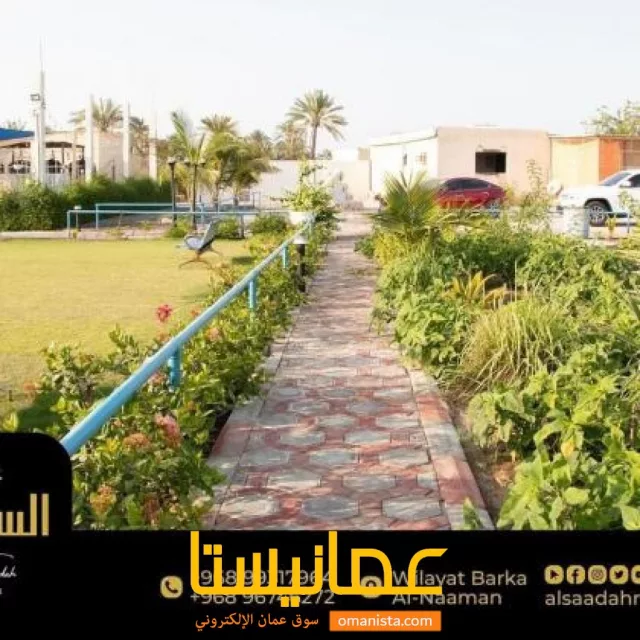 صورة 8