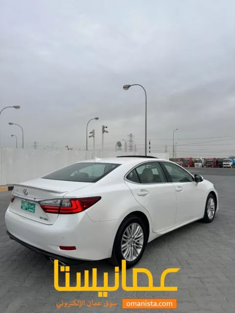 صورة 4