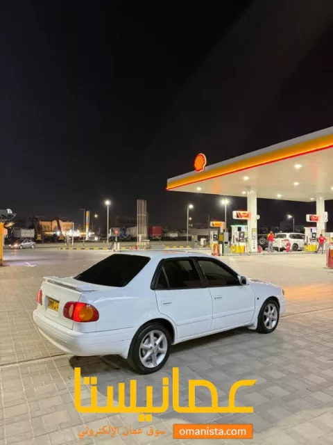 صورة 8