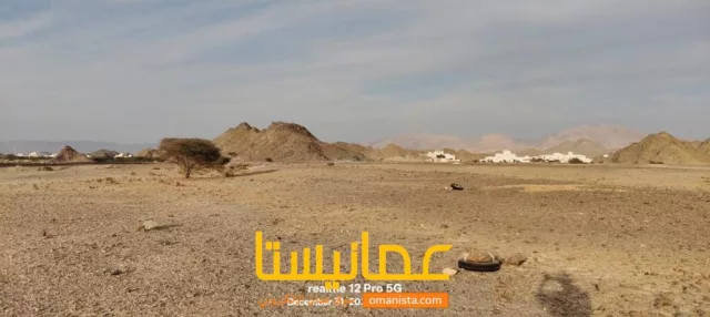 صورة 3