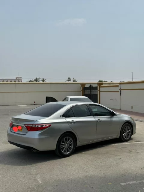 صورة 7