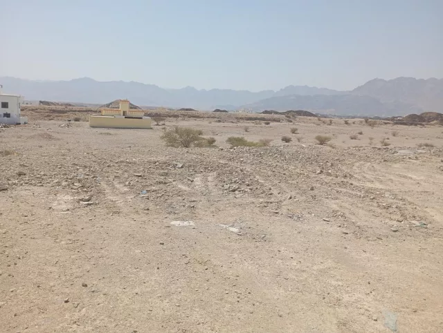 صورة 2