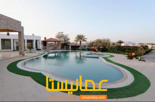 صورة 3