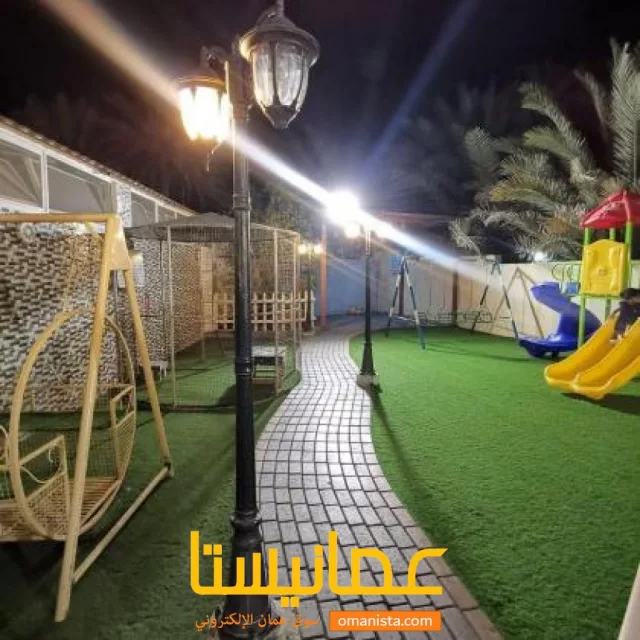 صورة 2