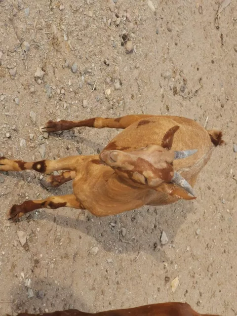 صورة 2
