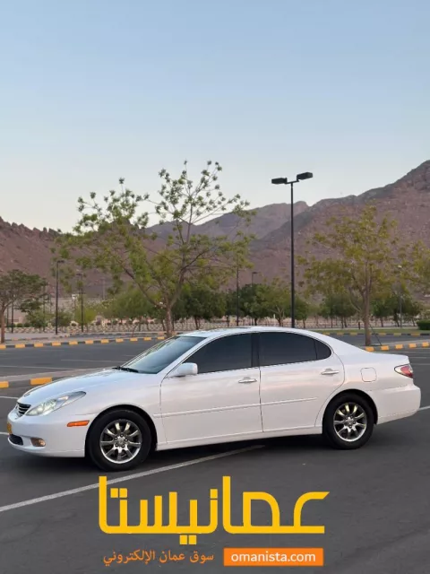 صورة 2