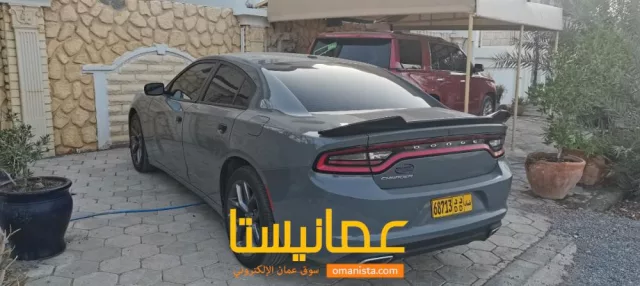صورة 2