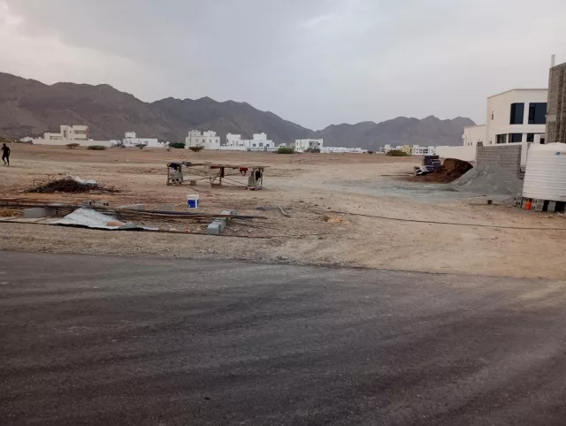 صورة 2