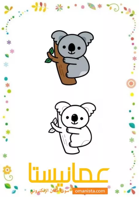صورة 3