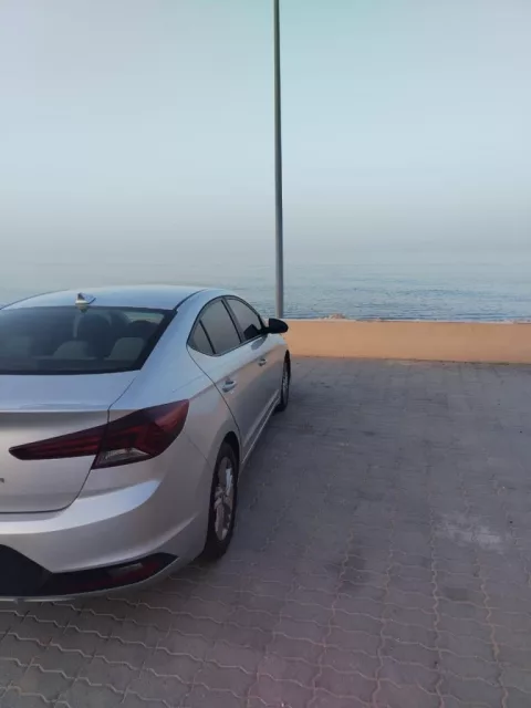 صورة 2