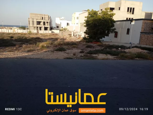 صورة 2