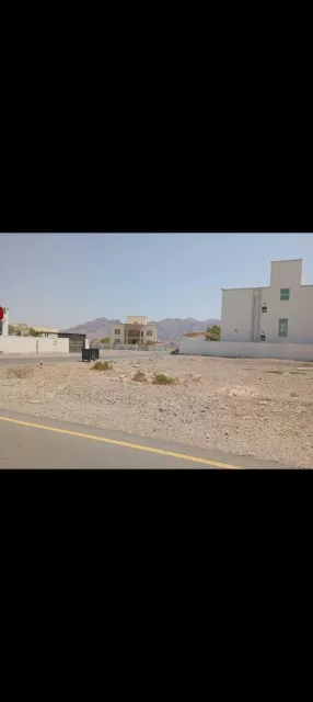 صورة 2