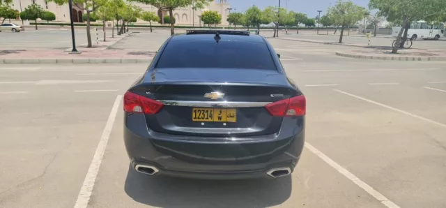 السيب