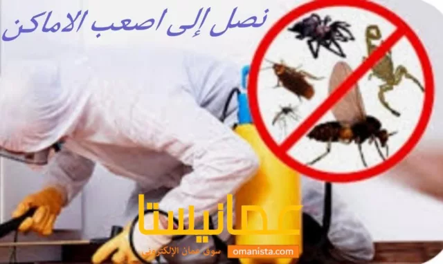 صورة 2
