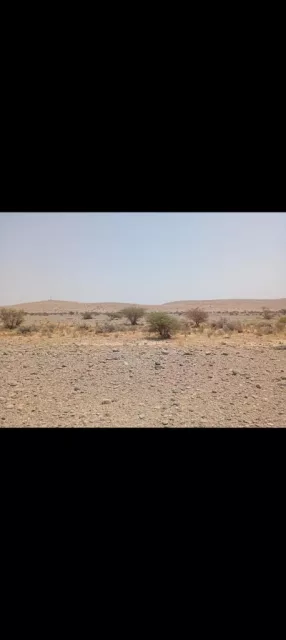 صورة 2