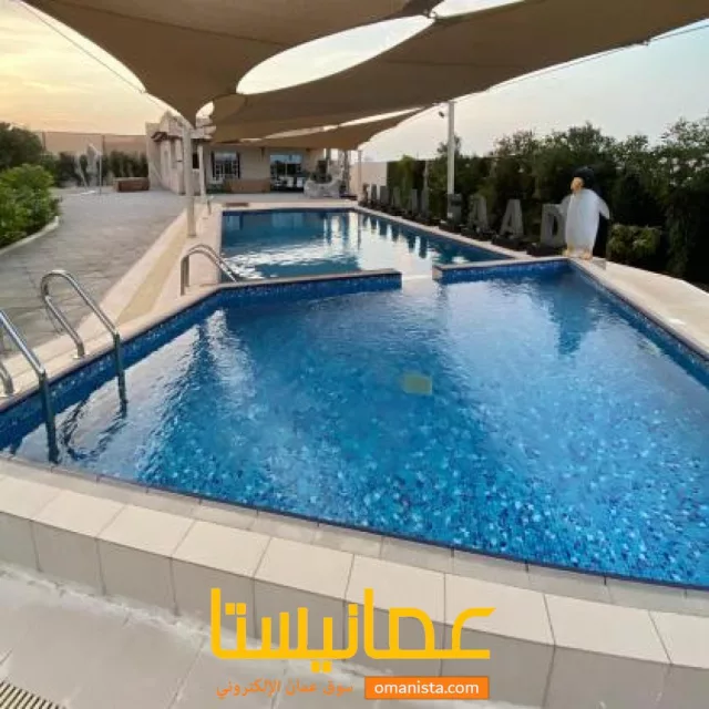 صورة 3