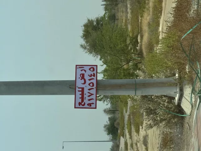 صورة 3