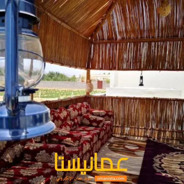 صورة 3