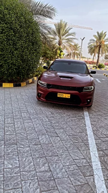 صورة 7