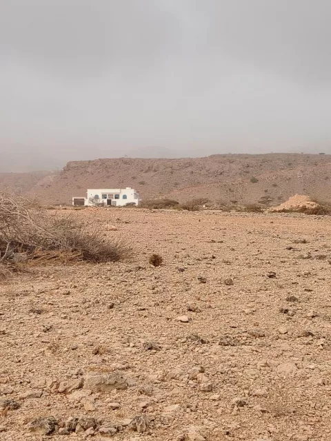 صورة 4