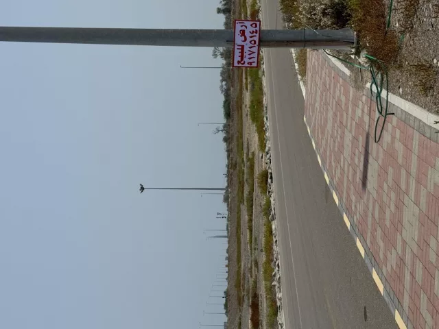 صورة 2