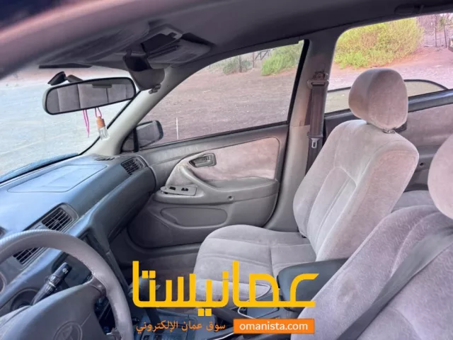 صورة 5