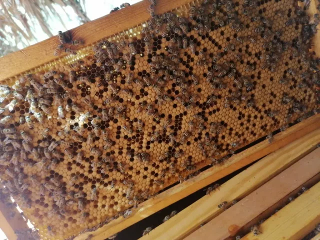 صورة 2