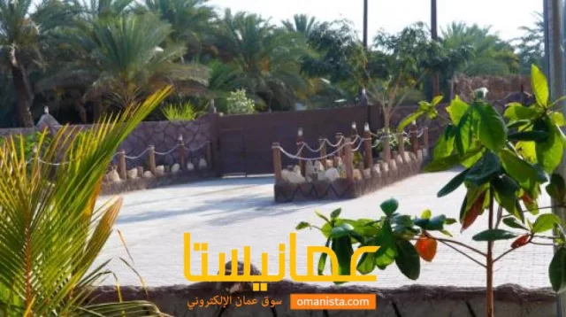 صورة 9