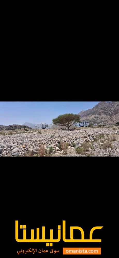 للبيع ارض سكنية في العامرات مرتفعات 81