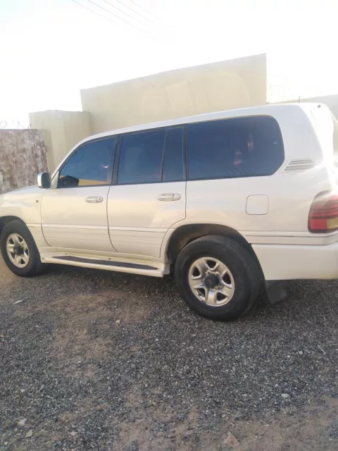 صورة 2
