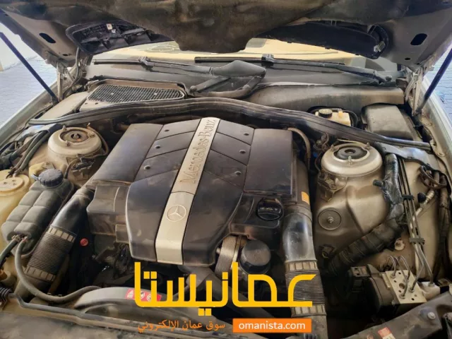 صورة 7