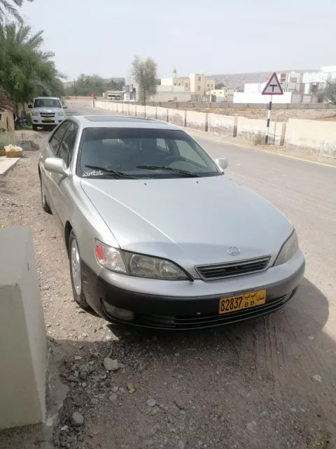 صورة 7
