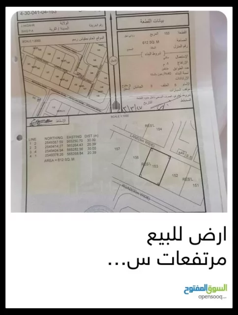 صورة 2