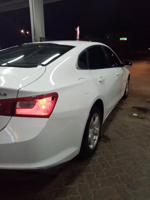 صورة 3