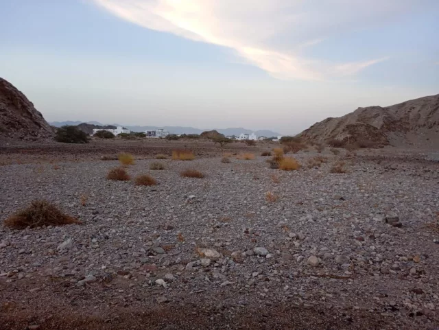 صورة 3