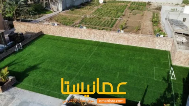 صورة 8