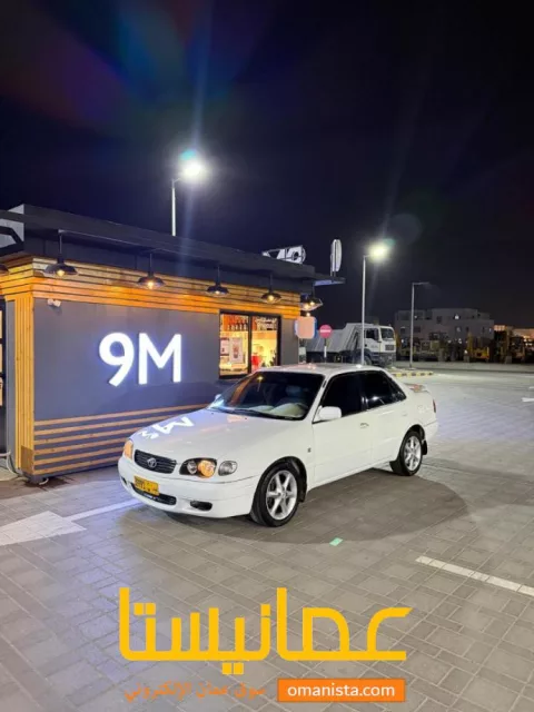 صورة 6