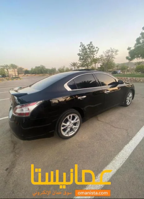 صورة 2