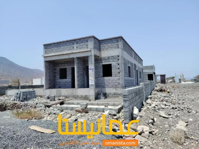 صورة 3