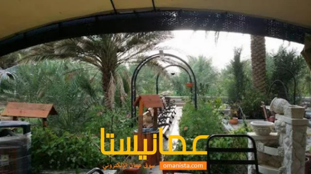صورة 10