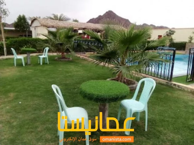 صورة 9