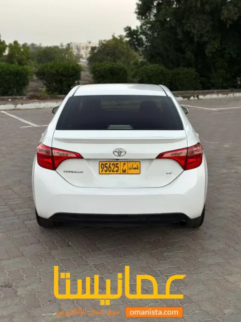 صورة 2