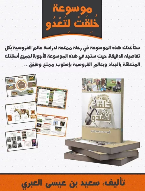 صورة 2
