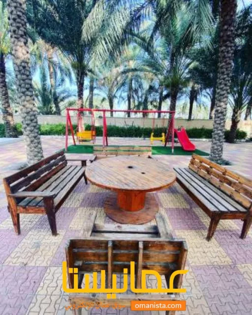 صورة 8